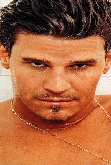 David Boreanaz
